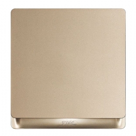 Công tắc đơn 2 chiều Q6211-2G